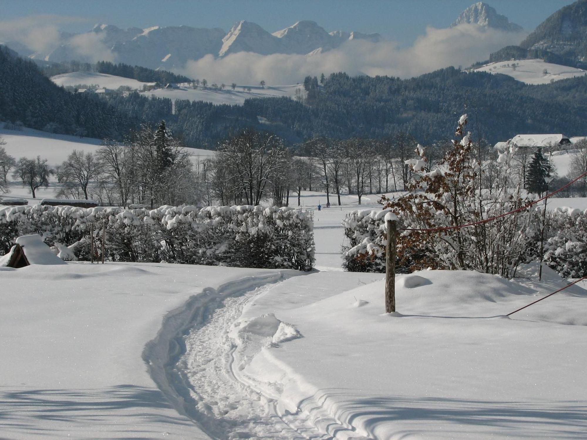 Villa Sonnwend National Park Lodge Rossleithen エクステリア 写真