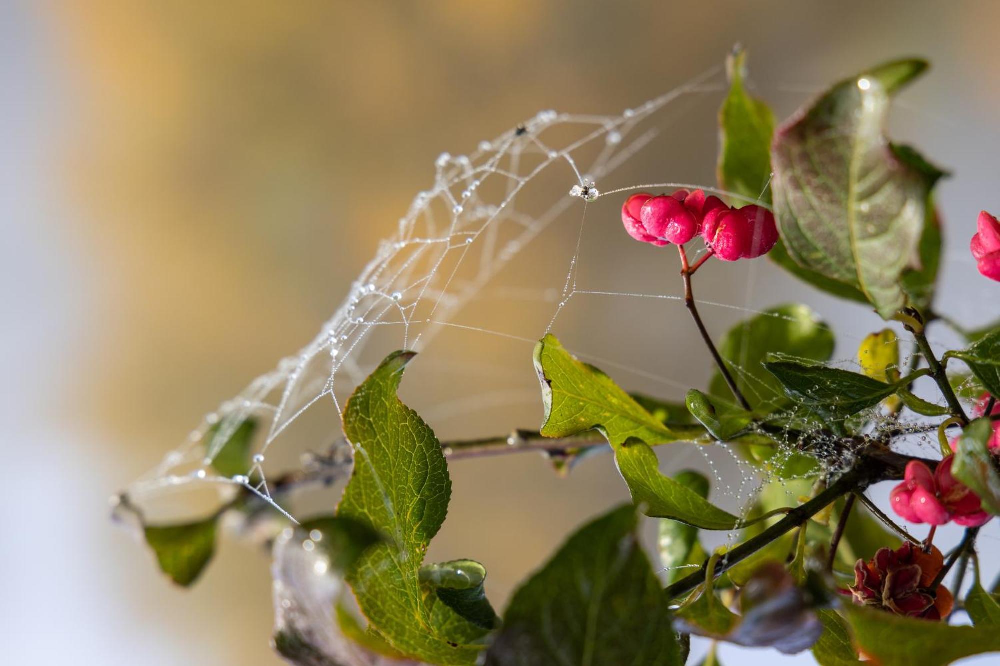 Villa Sonnwend National Park Lodge Rossleithen エクステリア 写真